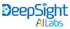 DeepSight-AI-Labs-logo